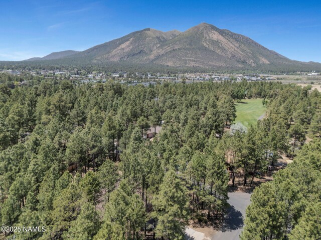 2787 N Pebble Beach Dr, Flagstaff, AZ 86004 - photo 39