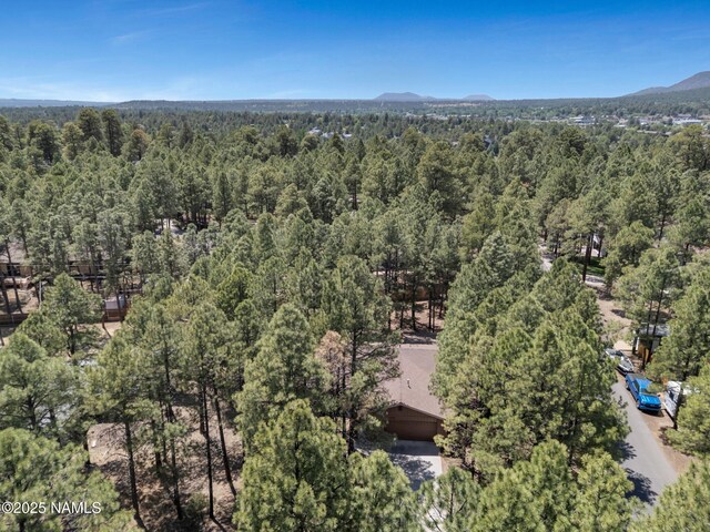 2787 N Pebble Beach Dr, Flagstaff, AZ 86004 - photo 38
