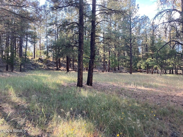 Listing photo 2 for 0 N San Francisco St, Flagstaff AZ 86001