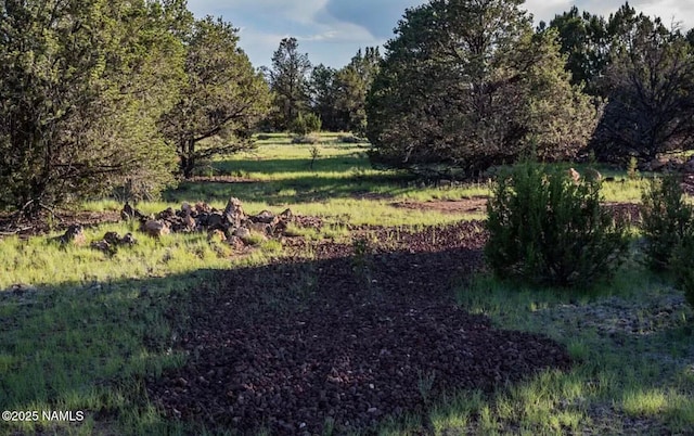 188 E Orchid Dr, Williams, AZ 86046
