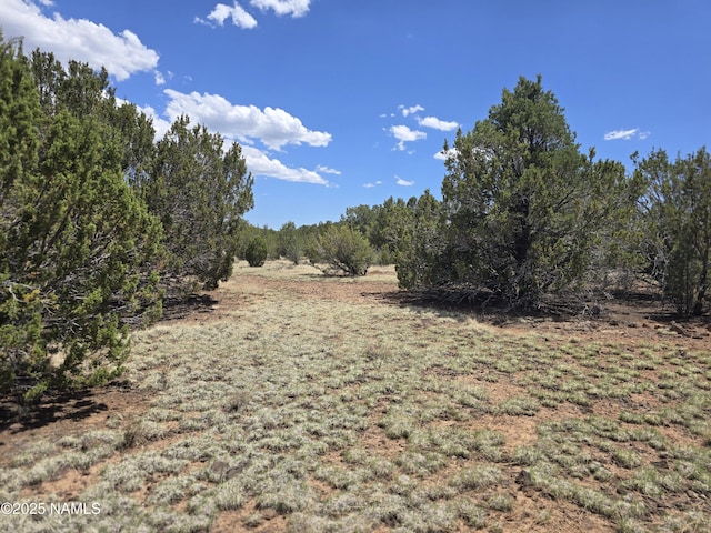 188 E Orchid Dr, Williams, AZ 86046