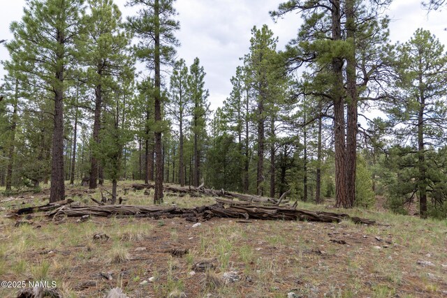 1191 S Herold Rnch Rd, Flagstaff, AZ 86004 - photo 7