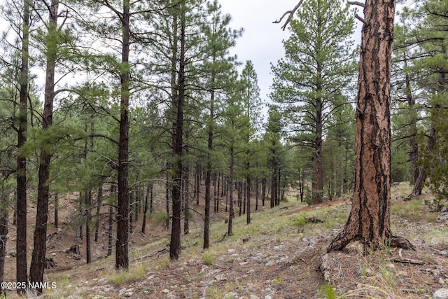 1191 S Herold Rnch Rd, Flagstaff, AZ 86004 - photo 9