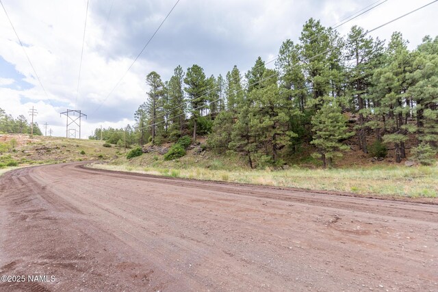 1191 S Herold Rnch Rd, Flagstaff, AZ 86004 - photo 16