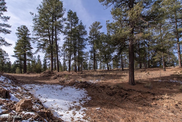 1191 S Herold Rnch Rd, Flagstaff, AZ 86004 - photo 11