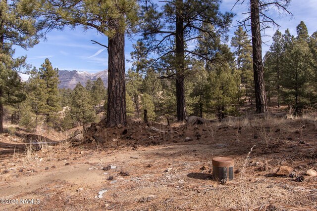 1191 S Herold Rnch Rd, Flagstaff, AZ 86004 - photo 4