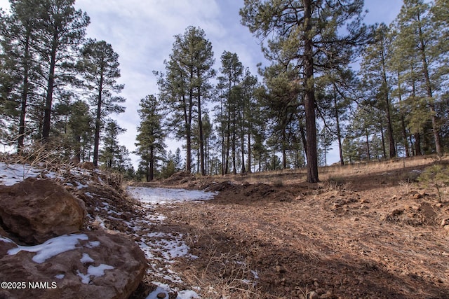 1191 S Herold Rnch Rd, Flagstaff, AZ 86004 - photo 6