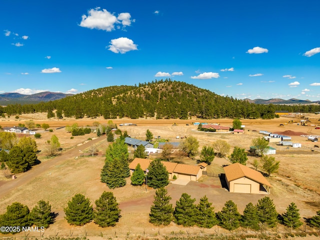 6120 E Treadway Trl, Flagstaff, AZ 86004 - view of rural area with a mountainous background