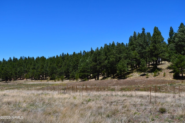 1539 Homestead Rd, Flagstaff, AZ 86005 - photo 2