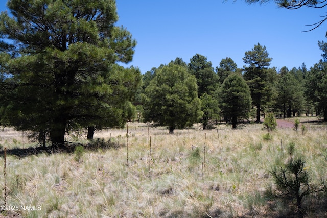 1539 Homestead Rd, Flagstaff, AZ 86005 - photo 3
