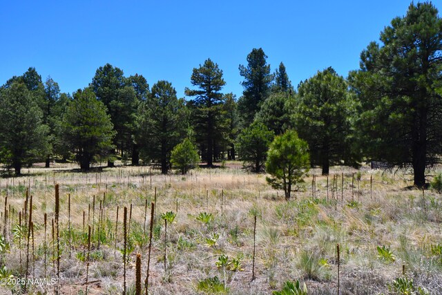1539 Homestead Rd, Flagstaff, AZ 86005 - photo 4