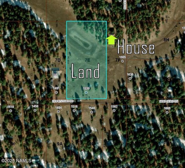 1539 Homestead Rd, Flagstaff, AZ 86005 - photo 9