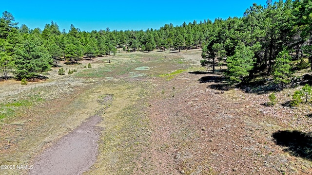 1539 Homestead Rd, Flagstaff, AZ 86005 - photo 6