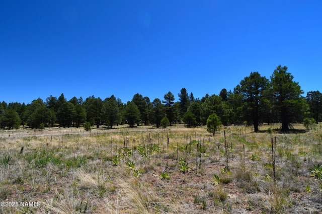 1539 Homestead Rd, Flagstaff, AZ 86005 - photo 5