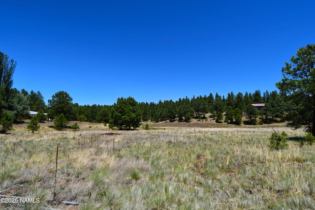 1539 Homestead Rd, Flagstaff, AZ 86005 - photo 1