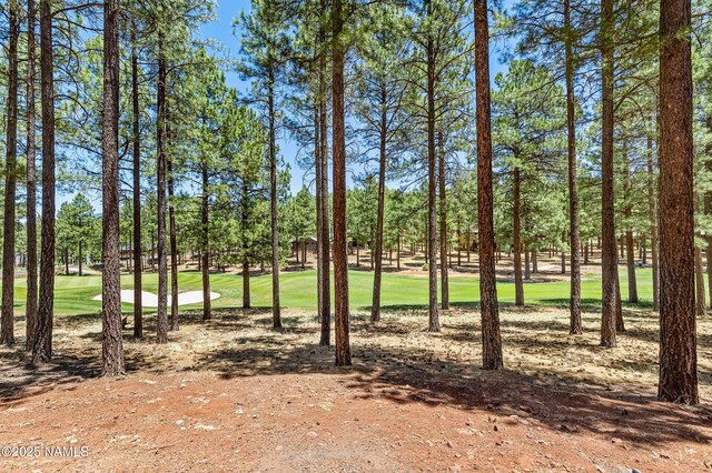 3650 S Bridle Path, Flagstaff, AZ 86005 - photo 37