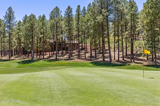 3650 S Bridle Path, Flagstaff, AZ 86005 - photo 38