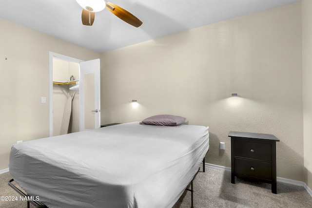 bedroom with carpet flooring, a closet, ceiling fan, and a walk in closet