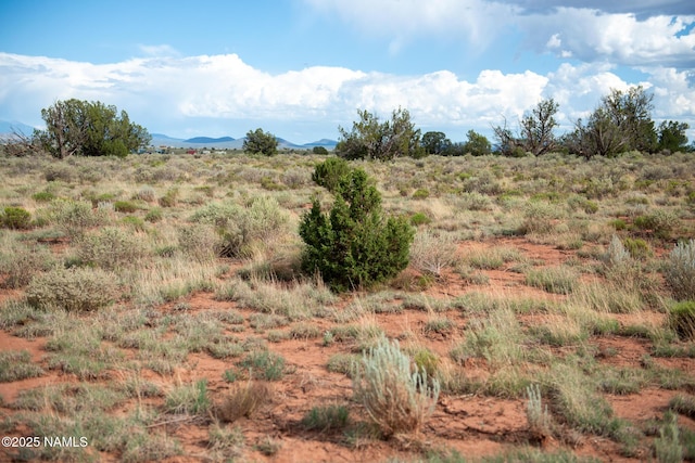 521 Big Spring Rd, Williams, AZ 86046 - photo 4