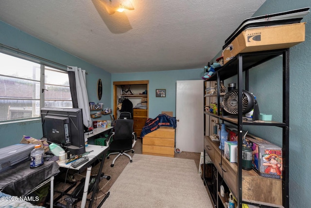 2920 N Steves Blvd, Flagstaff, AZ 86004 - photo 12