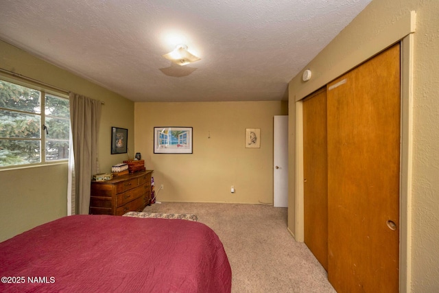 2920 N Steves Blvd, Flagstaff, AZ 86004 - photo 14
