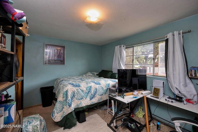 2920 N Steves Blvd, Flagstaff, AZ 86004 - photo 11