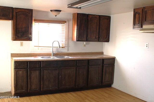 kitchen featuring sink, dark brown cabinetry, and light hardwood / wood-style floors