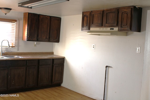 kitchen featuring sink, dark brown cabinetry, and light hardwood / wood-style floors