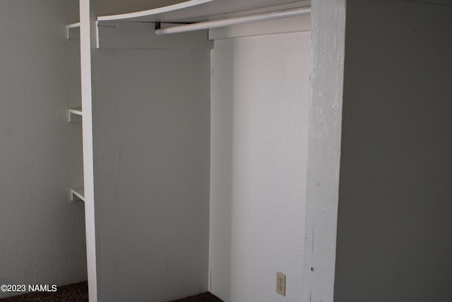 view of closet