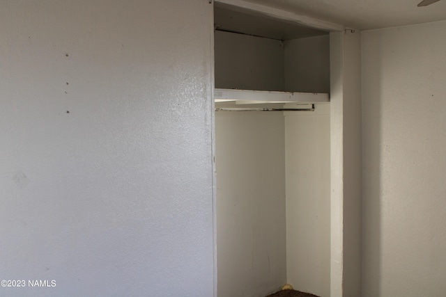 view of closet