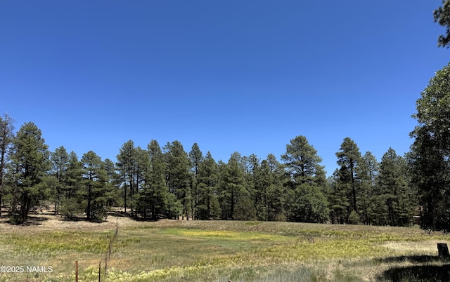 99 N Scenic Loop Trl, Williams, AZ 86046 - view of woods