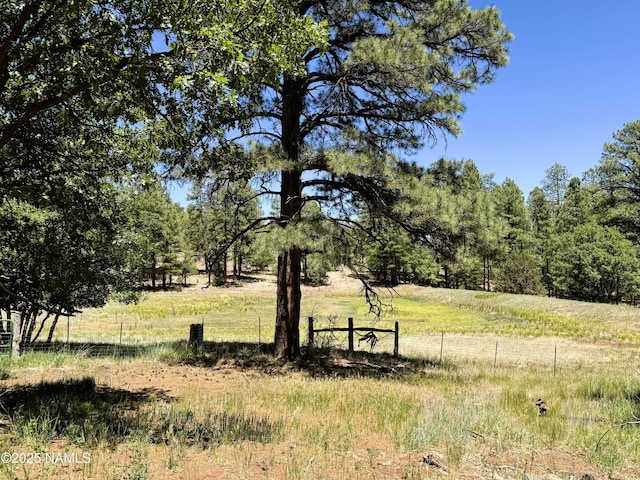 99 N Scenic Loop Trl, Williams, AZ 86046 - view of yard