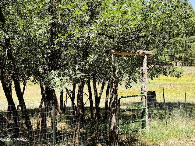 99 N Scenic Loop Trl, Williams, AZ 86046 - view of yard