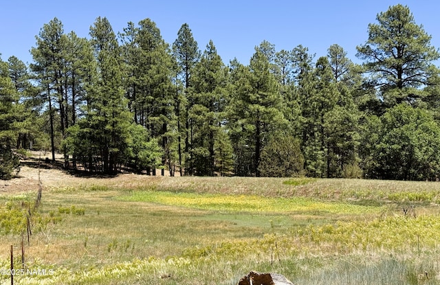 99 N Scenic Loop Trl, Williams, AZ 86046 - view of local wilderness