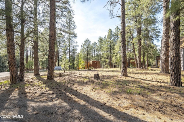 4263 Canyon Loop, Flagstaff, AZ 86005 - photo 4