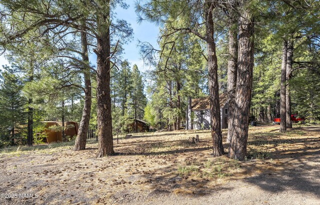 4263 Canyon Loop, Flagstaff, AZ 86005 - photo 6