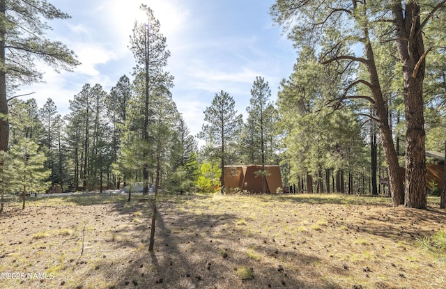 4263 Canyon Loop, Flagstaff, AZ 86005 - photo 5