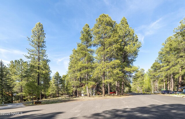 4263 Canyon Loop, Flagstaff, AZ 86005 - photo 7