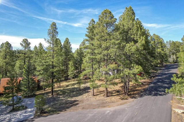 4263 Canyon Loop, Flagstaff, AZ 86005 - photo 1