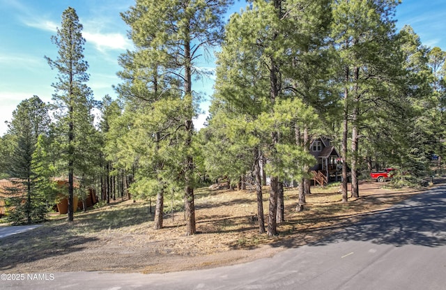 4263 Canyon Loop, Flagstaff, AZ 86005 - photo 2