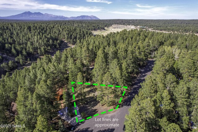 4263 Canyon Loop, Flagstaff, AZ 86005 - photo 8
