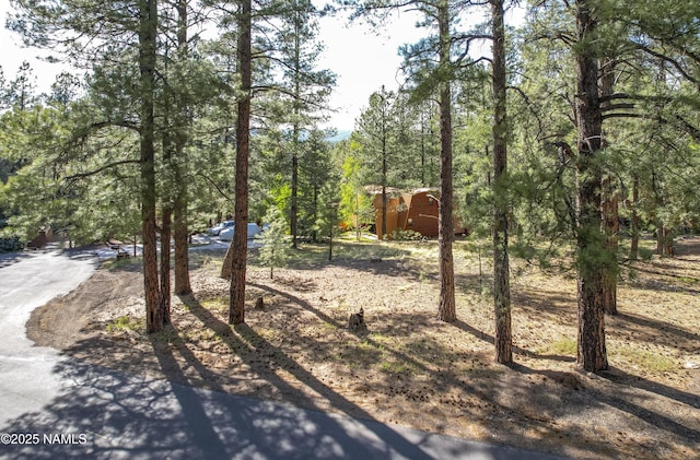 4263 Canyon Loop, Flagstaff, AZ 86005 - photo 3