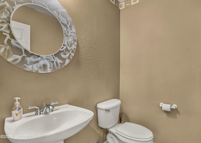 8210 Winchester Dr, Flagstaff, AZ 86004 - bathroom with a sink and toilet