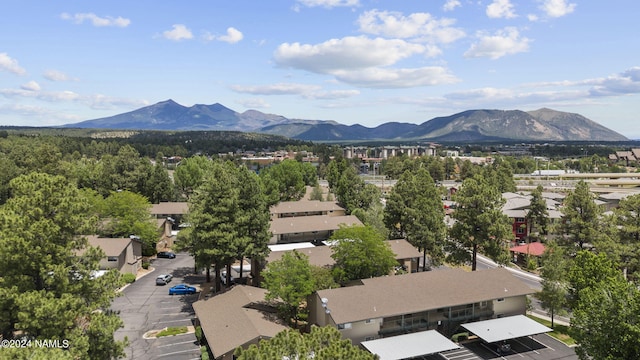 aerial view with a mountain view