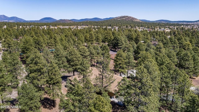 5545 E Cullum Ln, Flagstaff, AZ 86004 - photo 86