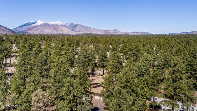 5545 E Cullum Ln, Flagstaff, AZ 86004 - photo 79