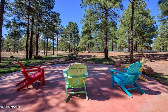 5545 E Cullum Ln, Flagstaff, AZ 86004 - photo 33
