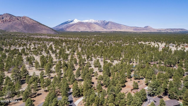 5545 E Cullum Ln, Flagstaff, AZ 86004 - photo 87