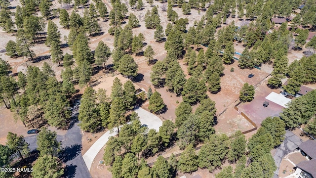 5545 E Cullum Ln, Flagstaff, AZ 86004 - photo 88