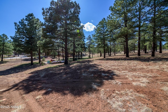 5545 E Cullum Ln, Flagstaff, AZ 86004 - photo 35